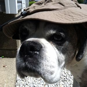 Meet your Posher, Chuck